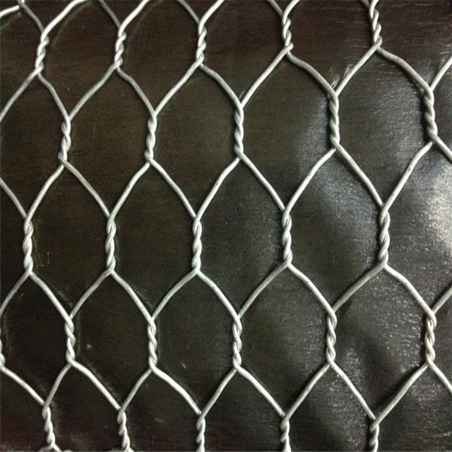Hexagonal Decorative Galvanized Wire Mesh