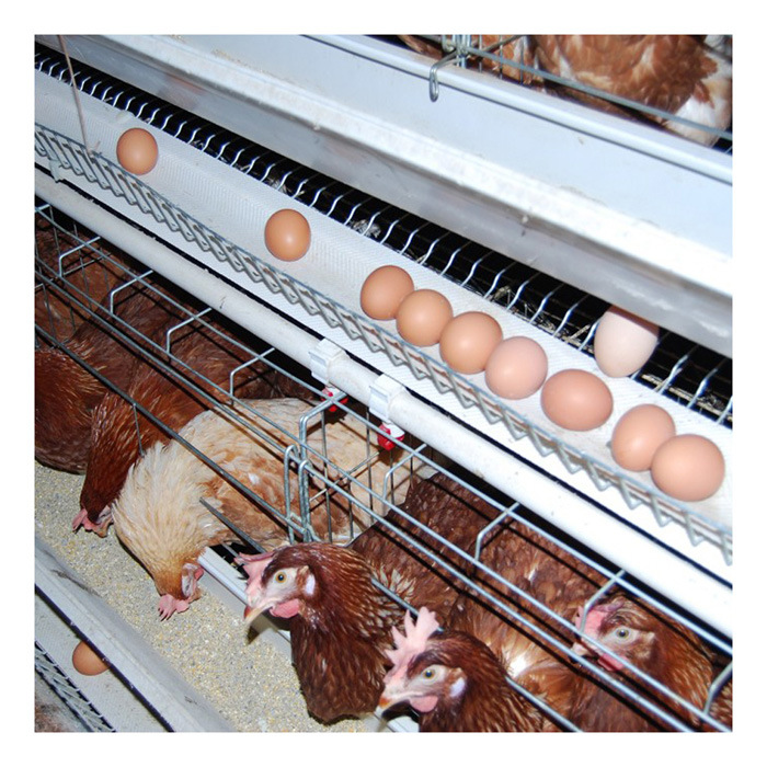 Layer Chicken Cage for Poultry House Chicken Battery Cage