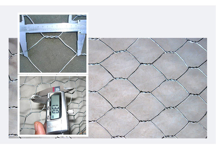 Chicken Wire Mesh/Galvanized & PVC Coated Hexagonal Wire Mesh