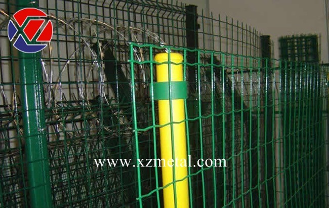 50*100mm Green PVC Coated Dutch Wire Mesh Fence