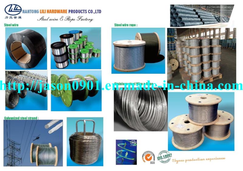 Galvanized Steel Wire Spring Steel Wire Steel Wire Rope