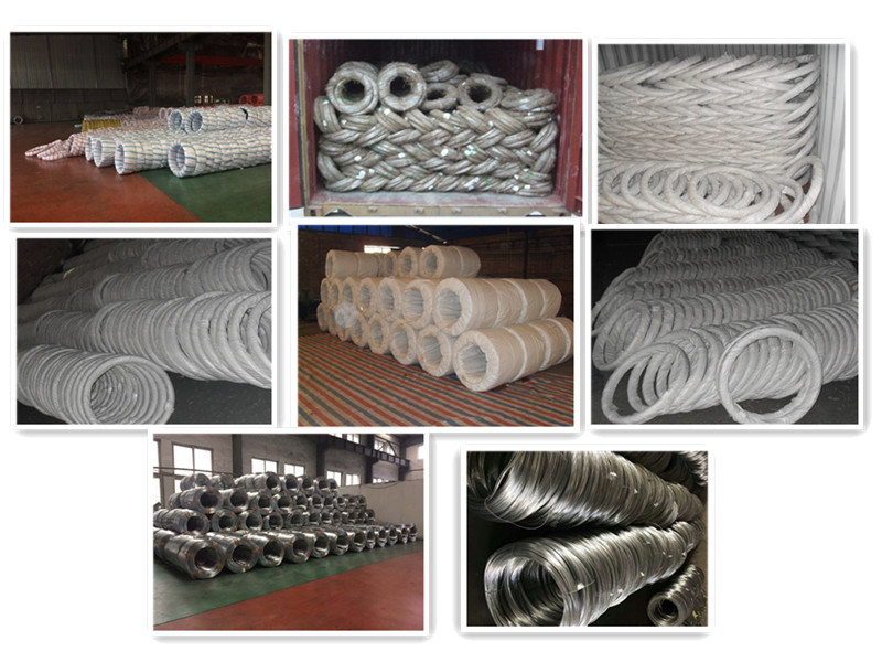 Commercial Coated Low Carbon Steel Hot Dipped Galvanized Wire