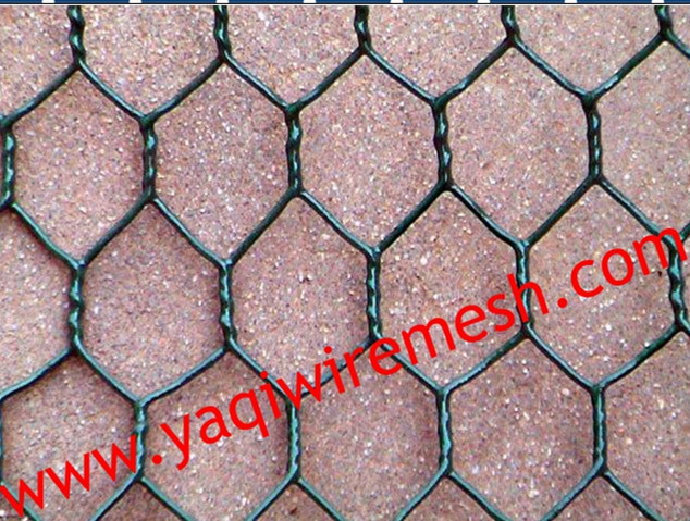 Galvanized Hexagonal Wire Mesh, Green PVC Hexagonal Wire Mesh