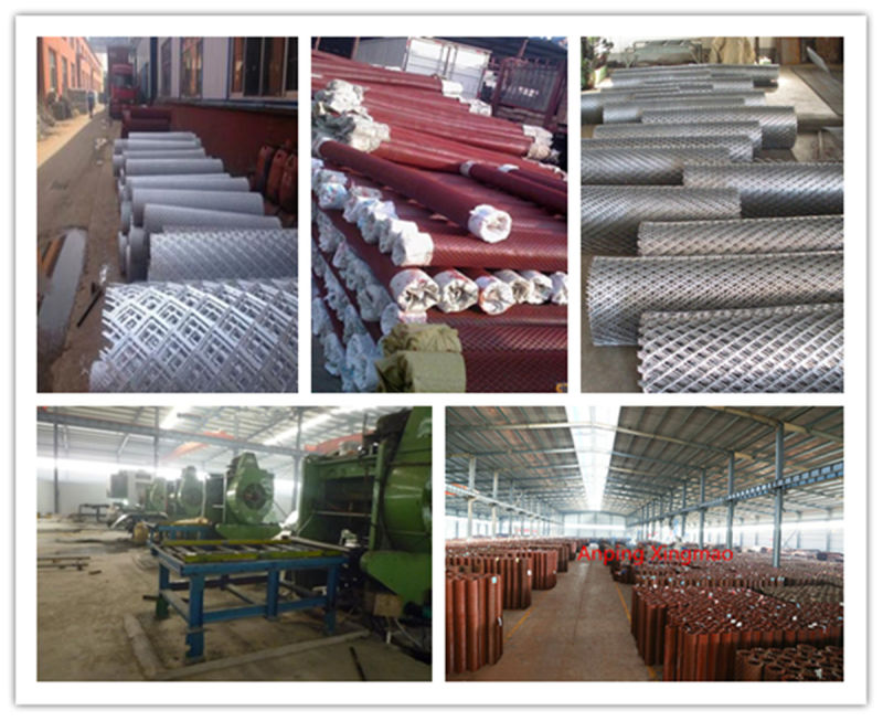 Expanded Metal Mesh/Expanded Metal (fencing mesh)