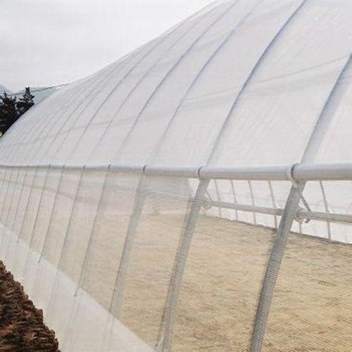 Anti Insect Plant Protection Net for Greenhouse