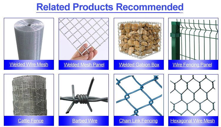 Galvanized Welded Wire Mesh/ PVC Coated Wire Mesh Fence