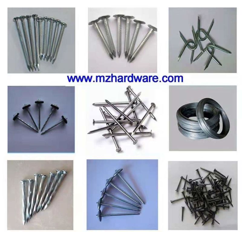 Electrowelding Net Welded Wire Mesh Stainless Welded Wire Mesh