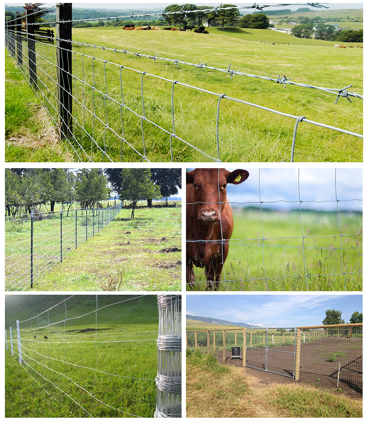 Hinge Joint Knot Field Fence Mesh