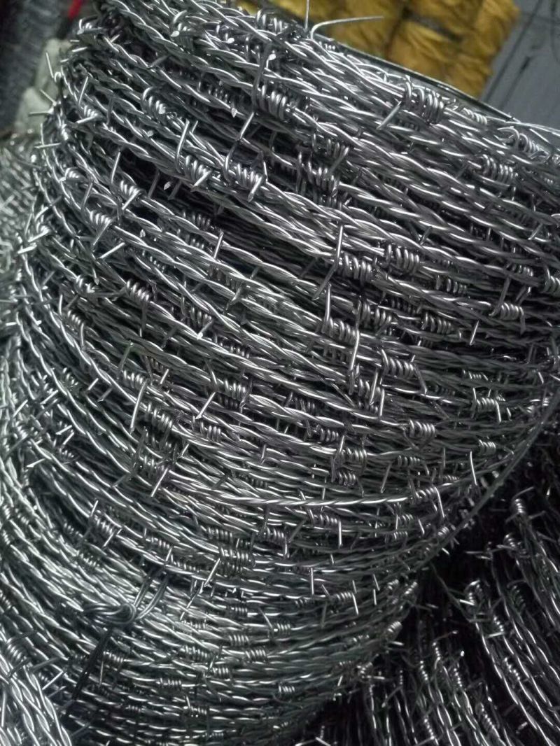 Sharpened Galvanized Safety Barbed Wire/Galvanized Decorative Barbed Wire Fencing/Barbed Wire