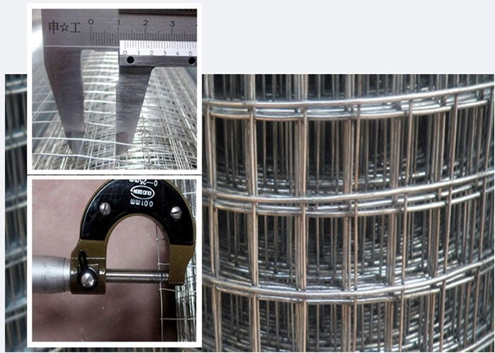 Electirc Galvanized 2.0mm*50mm*50mm Welded Wire Mesh Fencing for Building