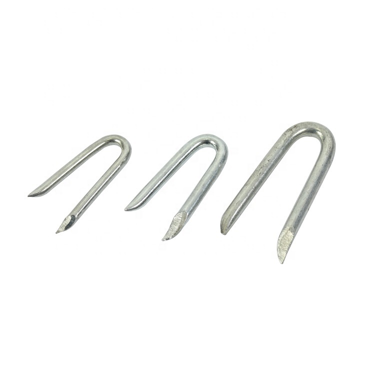 China Wholesale Hot Dipped Galvanized U Shaped Curved Nails Galvanized Fence Staple