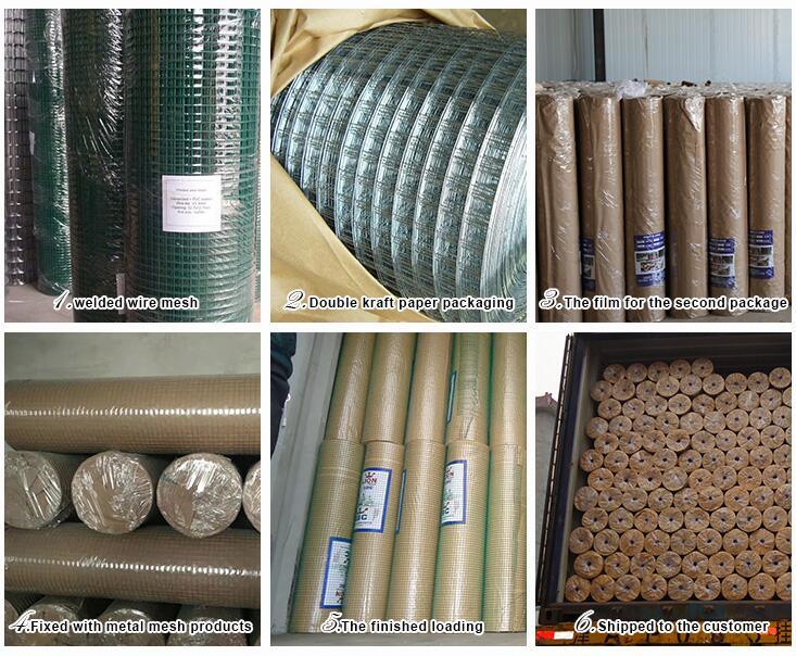 PVC Coated or Galvanized 5X5 Welded Wire Mesh Roll