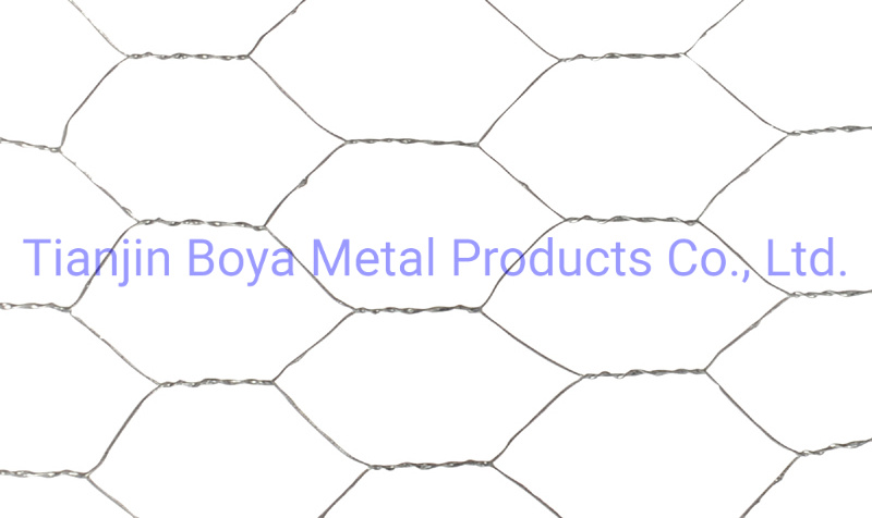 100FT PVC Coated Poultry Farm Wire Netting Poultry Chicken Wire Netting Green Coated Hexagonal Wire Mesh Factory