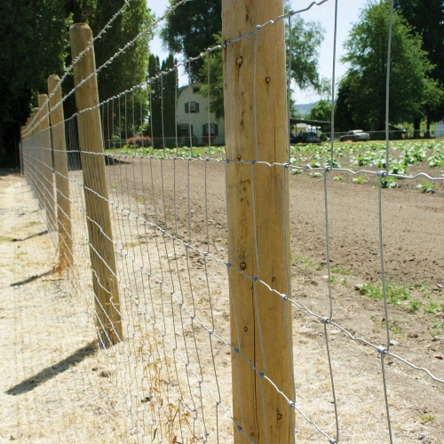 UK Australia New Zealand Galvanized Steel Field Fence Livestock Fence for Farm Mesh 150mm Height 120cm