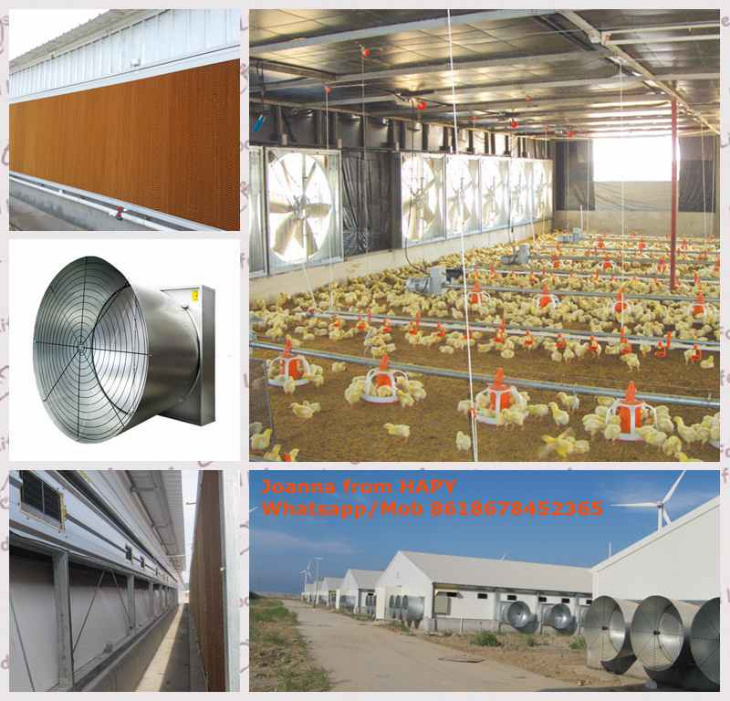 Poultry Equipment for Broiler Chicken One-Stop