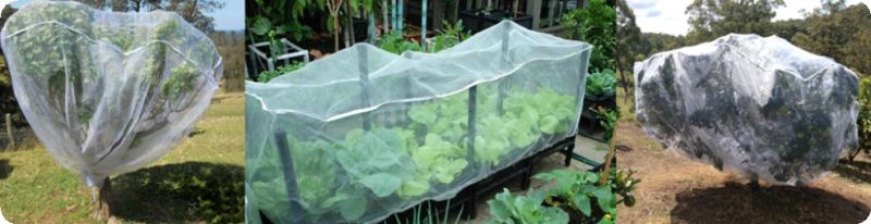 Insect Protection Net for Vegetable and Fruit Protection
