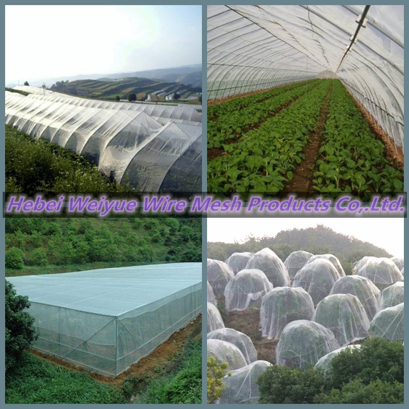 Agriculture Anti Insect Net for Greenhouse, Insect Proof Net