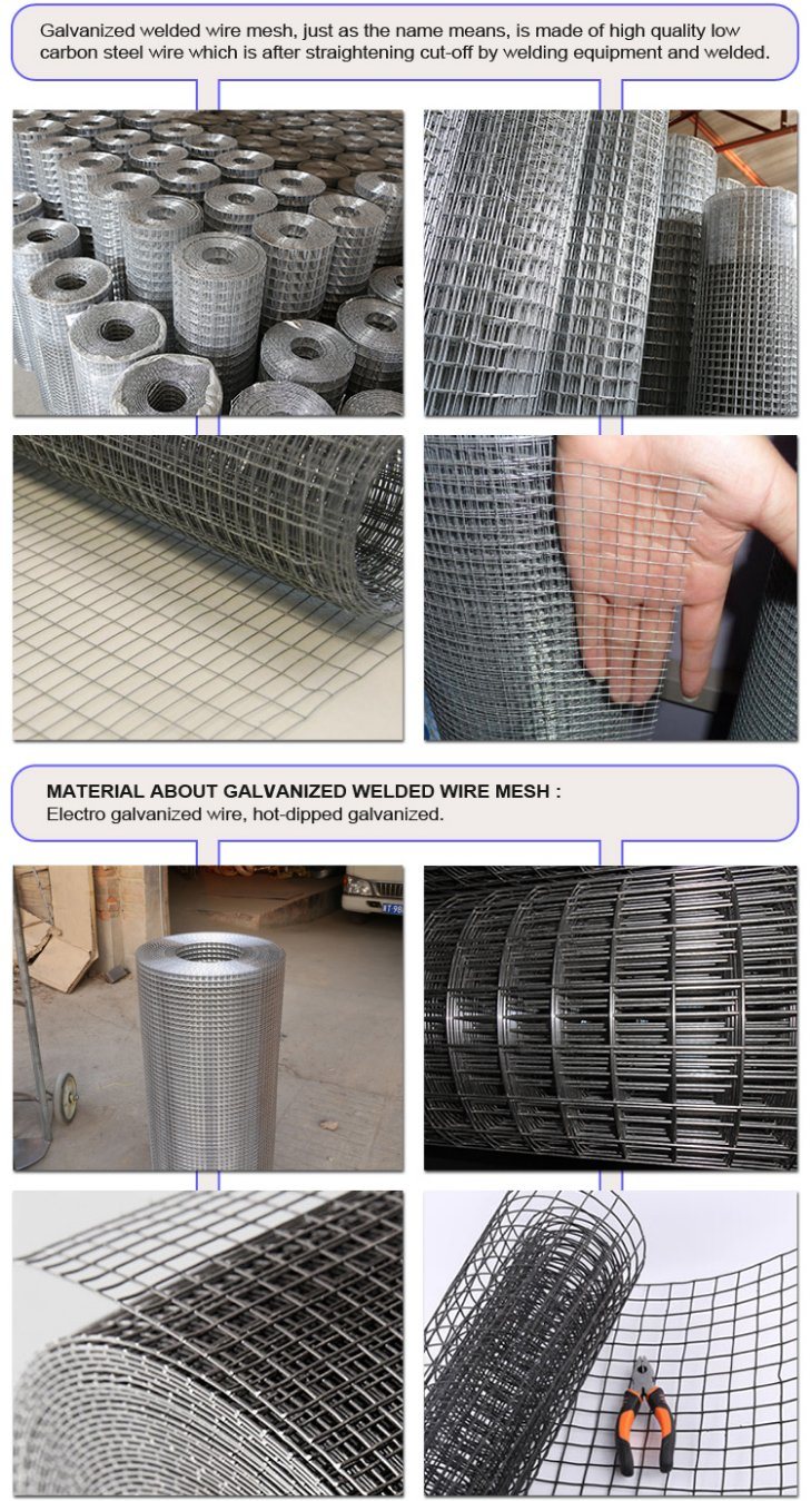 Fence Welded Square Hole Wire Mesh