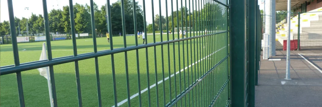 PVC Coated Welded Double Wire Mesh Fence Panel for Sales