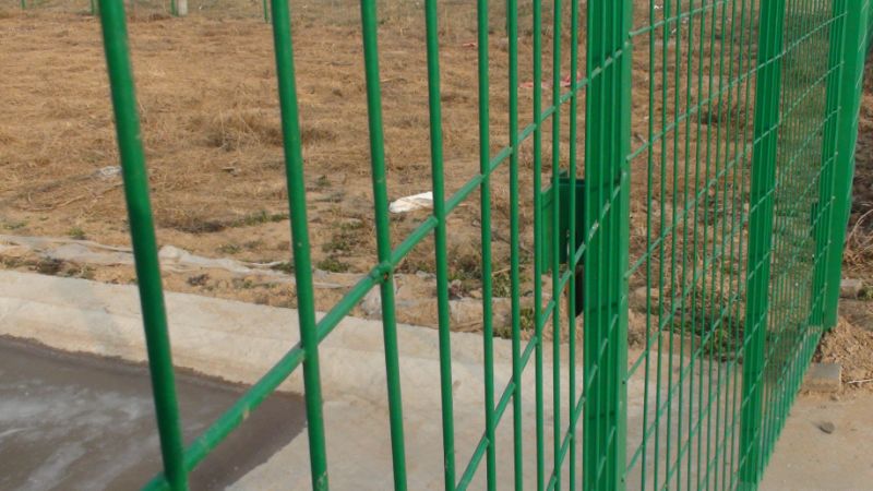 Double Wire Fence/Steel Bar Fencing