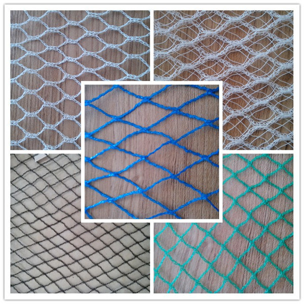 HDPE Extruded Anti Bird Net for Agricultural Protection