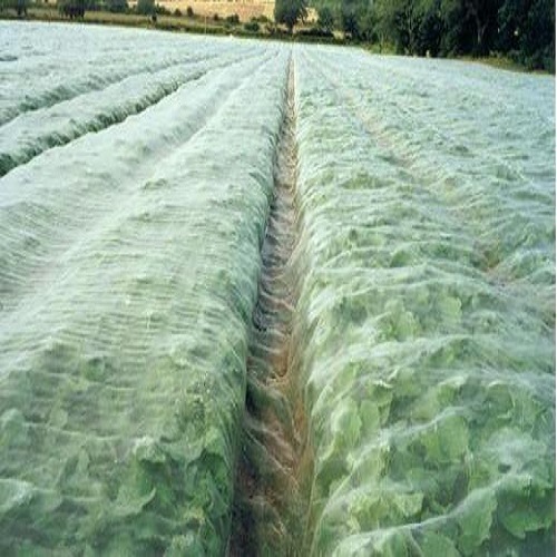 Insect Proof Netting Insect Net in Various Sizes