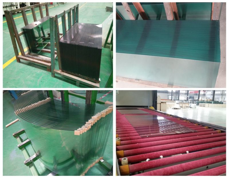 Flat/Curve Tempered Glass Railing Balustrade Swimming Pool Fencing