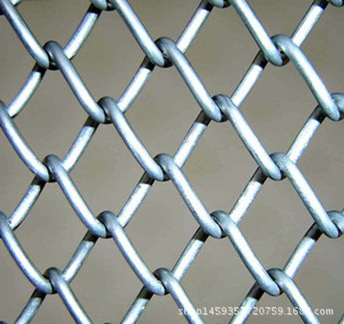 Hot Dipped Galvanized Steel Wire 3/4' Inch Welded Wire Mesh