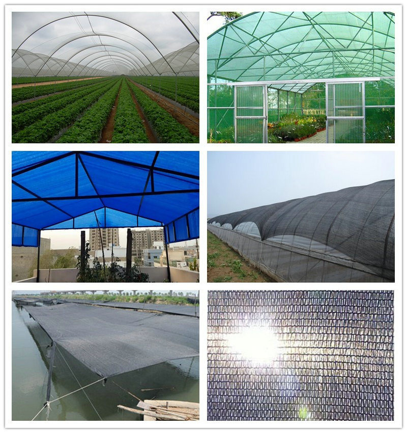 Greenhouse Sun Shade Net Agricultural Shade Net