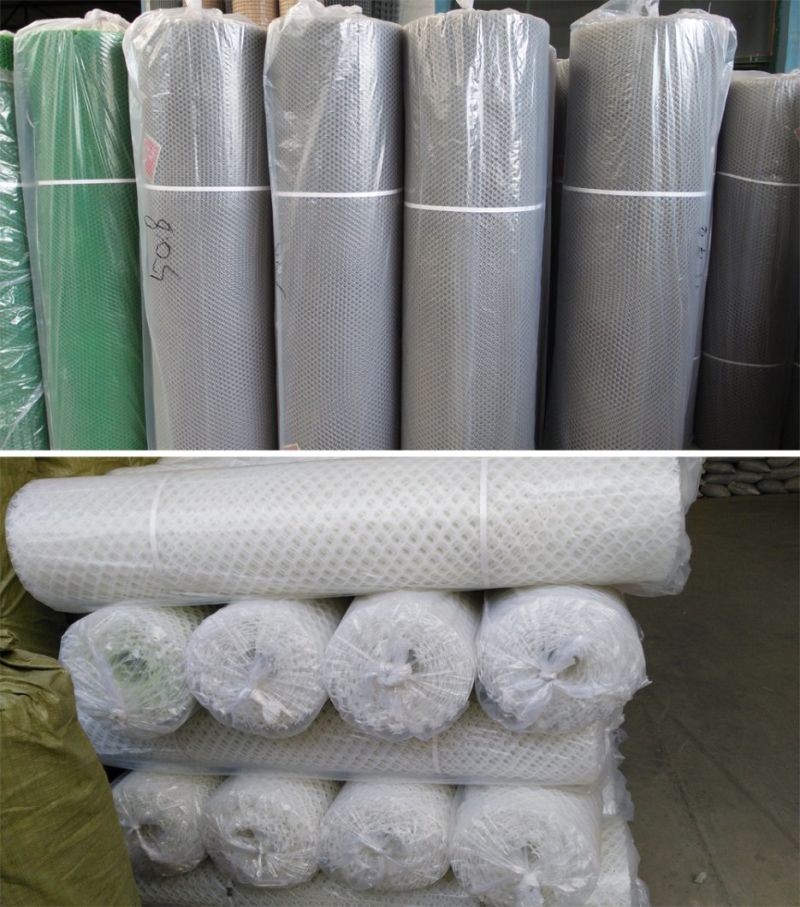 Green Color Hexagonal Hole Plastic Flat Wire Mesh