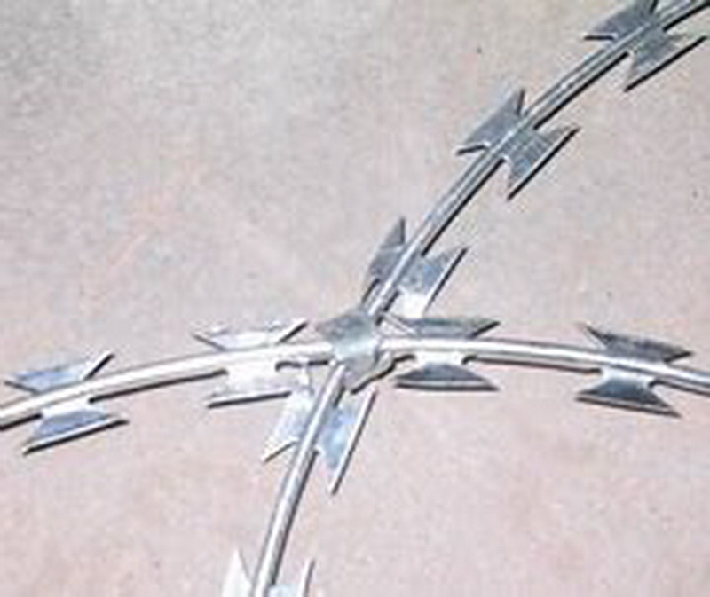 Hot Dipped Galvanized Sharp Razor Barbed Wire