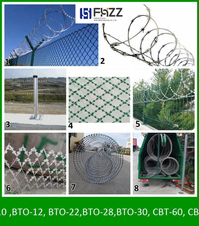 Galvanized Wire Mesh Concertina Security Razor Wire Fence