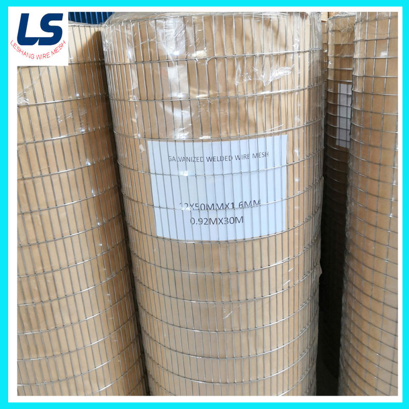 China Supplier Cheap Powder Coat 1X1 Welded Wire Mesh for Bird Cage