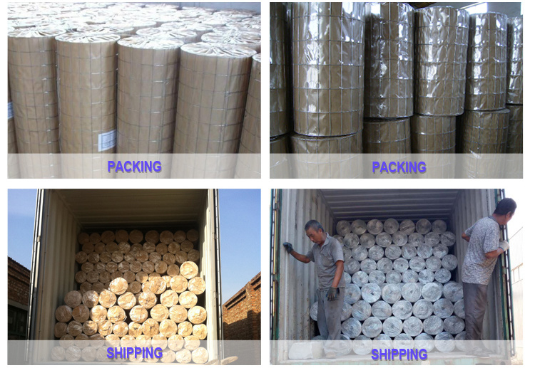 Galvanized Welded Wire Mesh with Good Quality