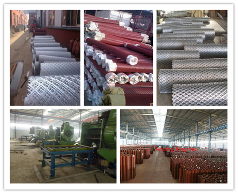 Expanded Metal Mesh (fence mesh)