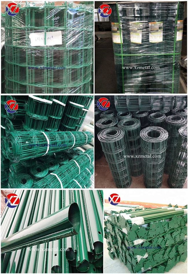 50*100mm Green PVC Coated Dutch Wire Mesh Fence