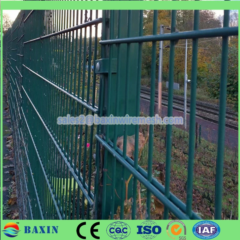 2.5m 2D Double Wire Fence Twin Wire 868/656 Wire Mesh Fence