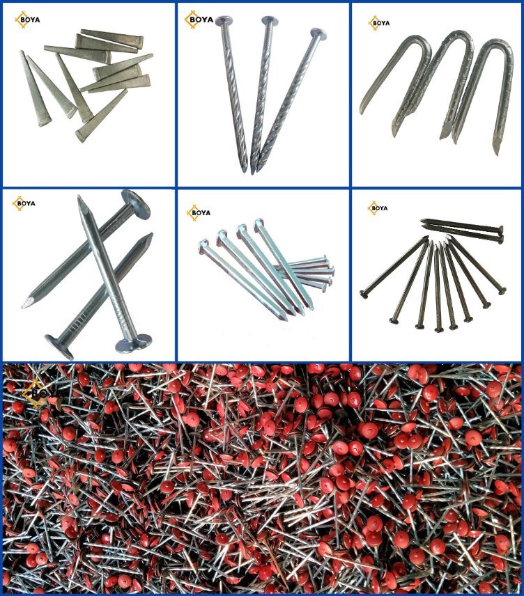 Galvanized Barbed Wire Bwg 12/14/16 Barbed Wire Staples