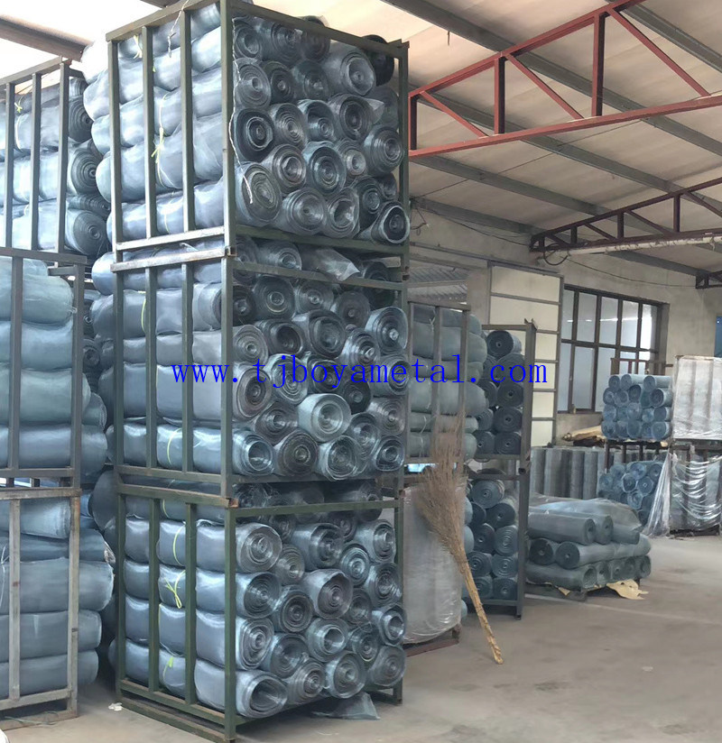 Galvanized Screen Mesh/Stainless Steel Crimped Wire Mesh/Woven Wire Mesh