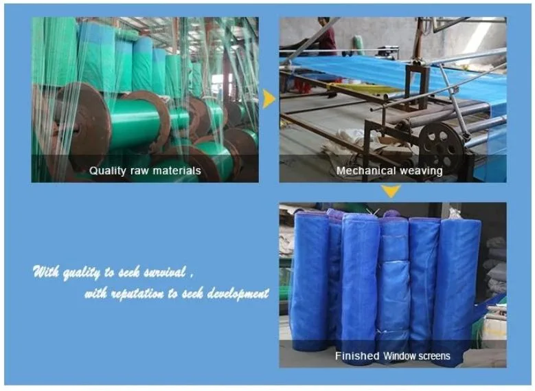 China Factory Supply Plastic Window Screen (manufactory)