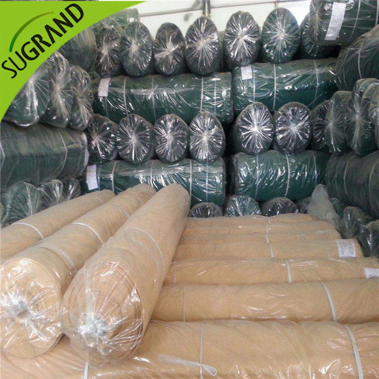 Outdoor HDPE Plastic Sun Shade Netting for Green Shade Net/Agriculture Shade Net/Sun Shade Net