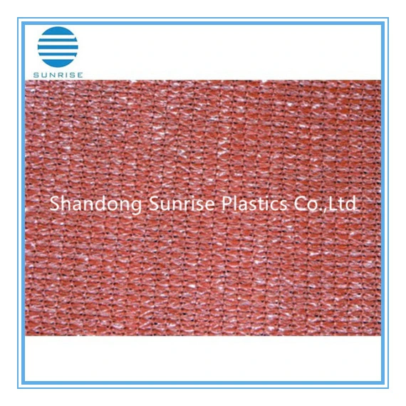 Shading Net/Plastic Net/PE Net/Sunshade Net/Shade Cloth