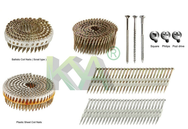 Galvanized Pozi Head Wire Collated Screw for Roofing, Packaging, Construction