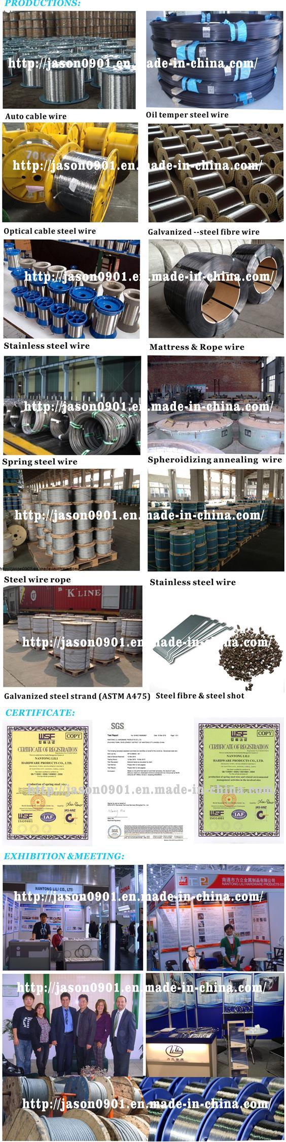 Steel Wire, Stainless Steel Wire, Wire Rope, Stainless Wire Rope, Bright Wire Low Carbon