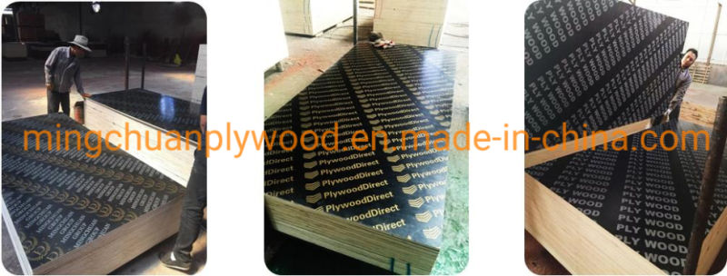 Black Film Faced Plywood Phenolic Board Shuttering Fomwork Waterproof Plywood