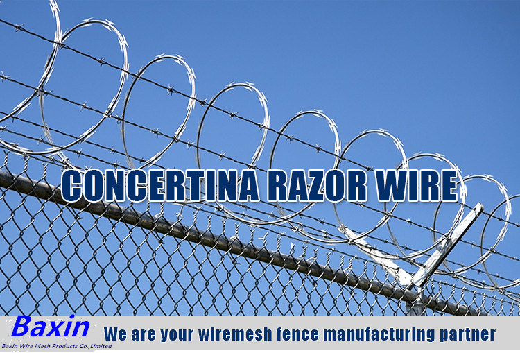 Steel Wire, Security Protected Razor Barbed Wire/Blade Barbed Wire