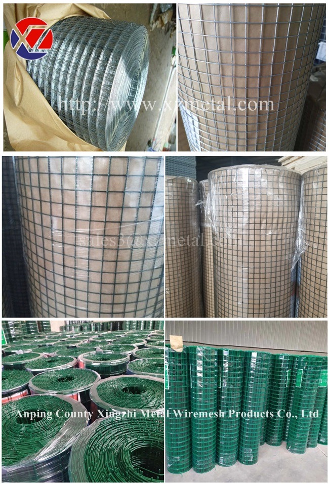 50X50mm Galvanized Steel Wire Mesh for Wire Fencing