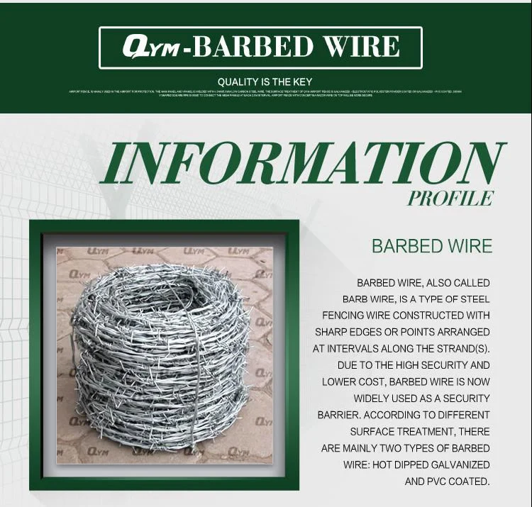 PVC Coated Galvanized Iron Barbed Wire Stainless Steel Barbed Wire