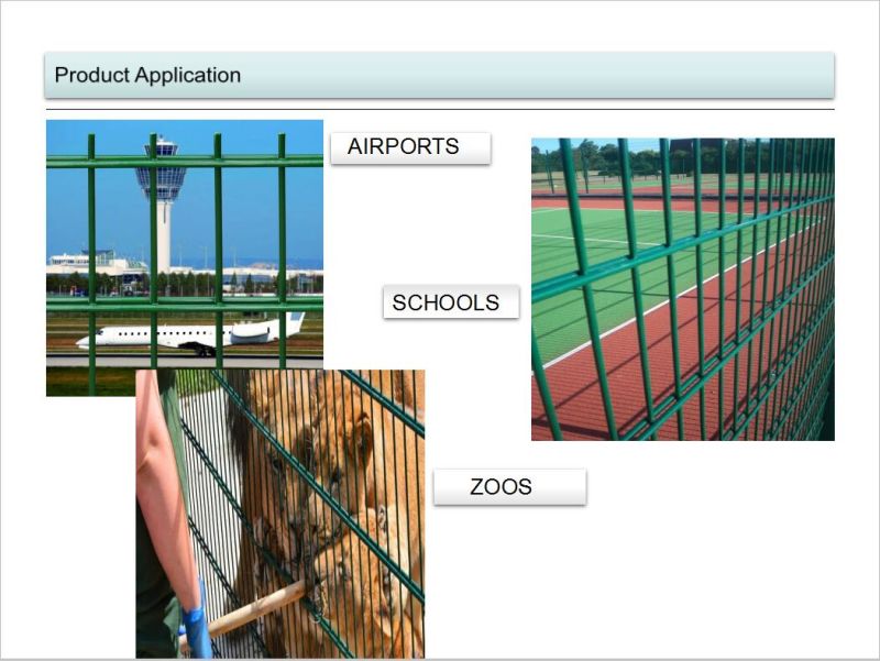 Twin Bar Wire Mesh/Double Welded Wire 868/656 Fence Panel/Double Wire 2D Fence