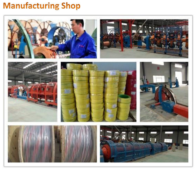 450/750V PVC Insulated Flexible Wire Kiv Electrical Cable Wire